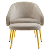 Luxe Mink Velvet Chair Set