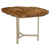 Petrified Wood Side Table