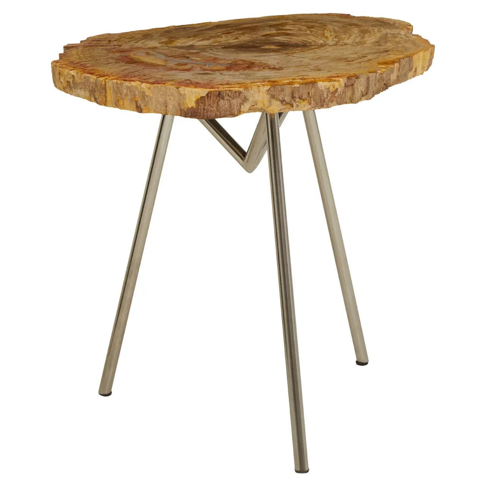 Petrified Wood Side Table