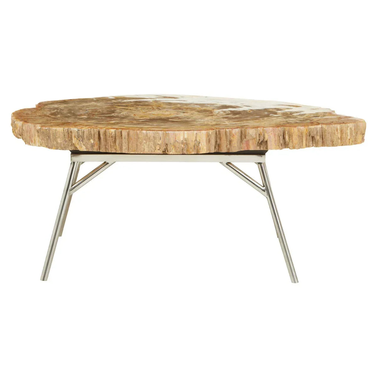 Petrified wood coffee table with natural edge top and chrome metal legs