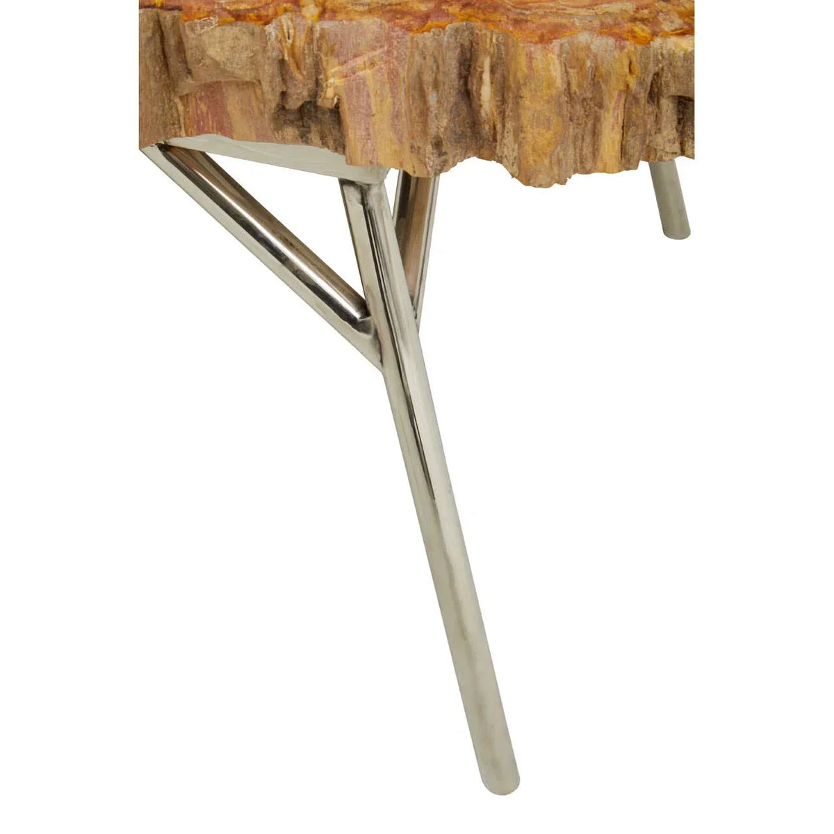 Petrified wood side table with natural edge and chrome metal legs, close-up view