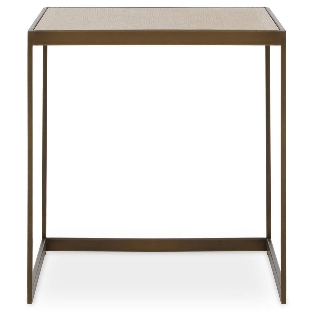 Elegant Oak Steel End Table