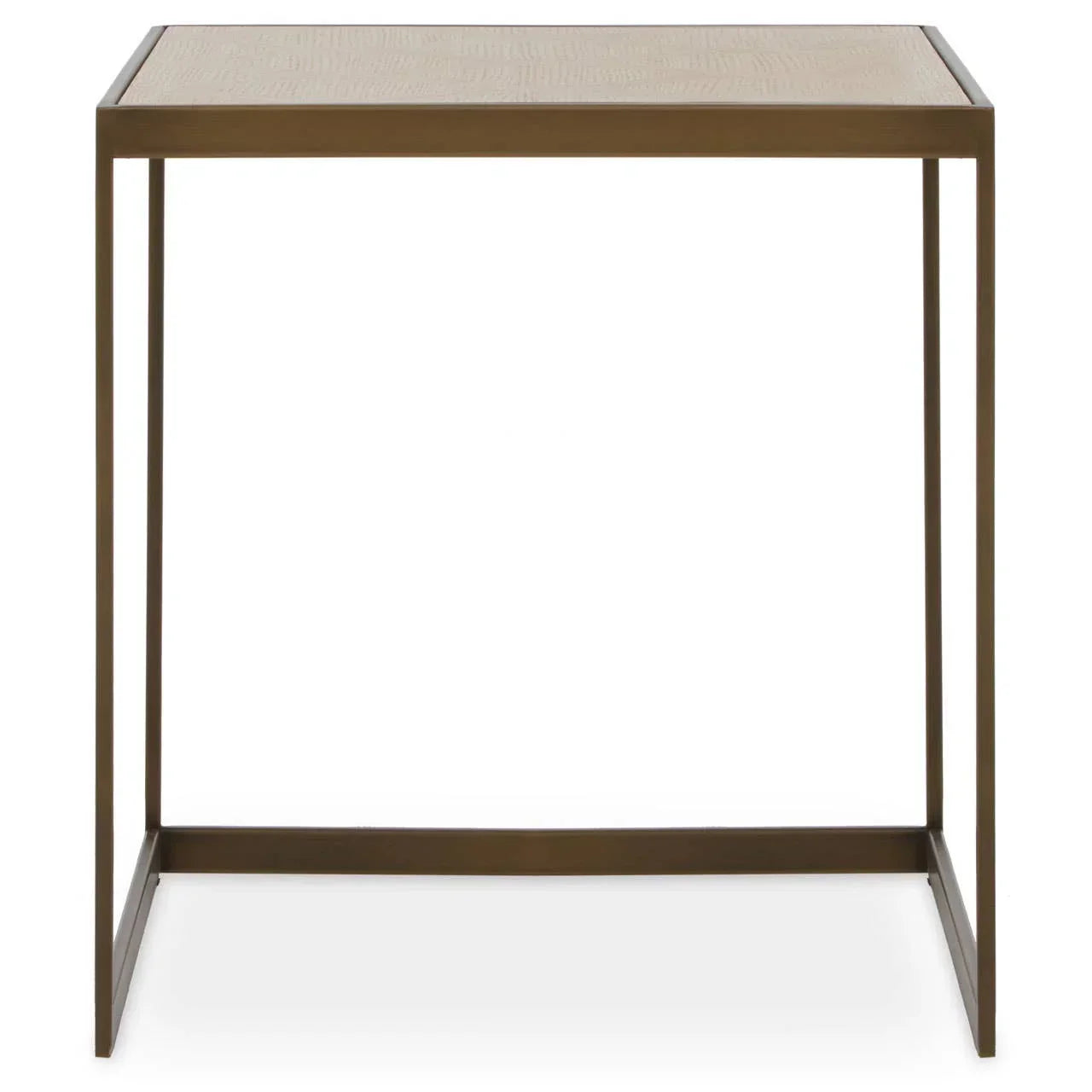 Elegant Oak Steel End Table