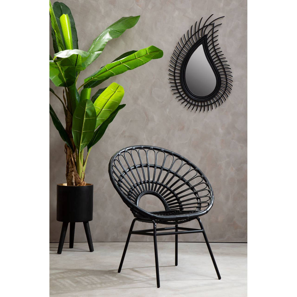 A black natural rattan flared back chair with a circular design, positioned next to a tall green plant in a black pot. The chair features slender legs and a unique backrest that curves outward. A decorative teardrop-shaped mirror hangs on the wall behind the chair, set against a textured gray background