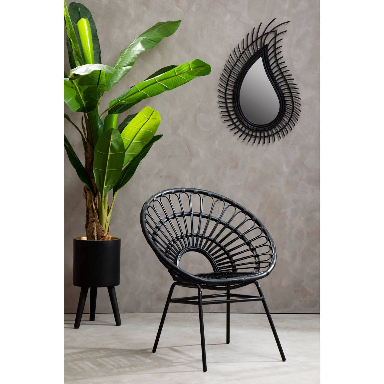 A black natural rattan flared back chair with a circular design, positioned next to a tall green plant in a black pot. The chair features slender legs and a unique backrest that curves outward. A decorative teardrop-shaped mirror hangs on the wall behind the chair, set against a textured gray background