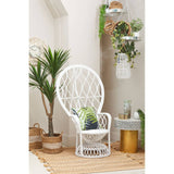 Curved chair made of natural rattan in grey and white, featuring a comfortable seat and backrest. The chair is positioned in a bright, airy room with a light-colored floor, surrounded by decorative plants and a small side table. A green and white cushion adds a pop of color to the chair
