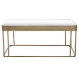 Golden Frame Mirror Coffee Table