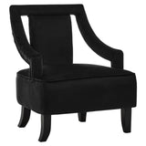 Luxe Black Velvet Accent Chair
