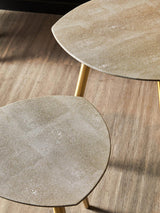 Luxury Shagreen Gold Side Tables