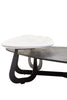 Eccentric Ceramic Coffee Table