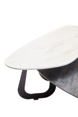 Eccentric Ceramic Coffee Table