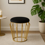 A black velvet stool with a round top and a gold metal wire frame, placed on a light-colored floor in a modern living space. A green plant and a small side table are visible in the background