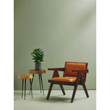 Brown leather armchair with wooden frame next to two wooden side tables and potted plant