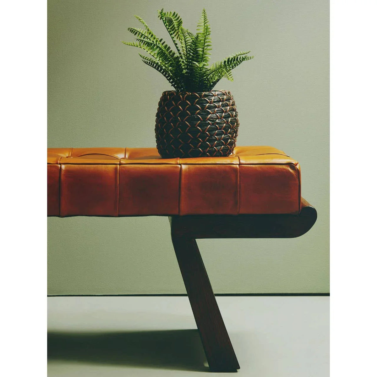 Tan leather bench with tufted seat and potted fern decor against a neutral wall