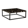Mother of Pearl Coffee Table