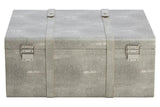 Grey faux shagreen trunk with metal clasps and leather straps, front view
