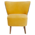 Modern Print Accent Chair