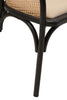 Modern Cane Bench