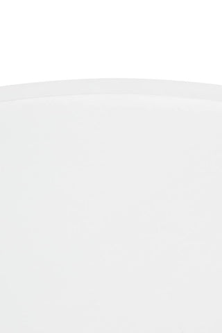 Mango Wood Whitewash Coffee Table
