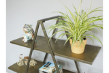 Two-tier metal display shelves in dark bronze finish, angled view with decorative items and potted plant.