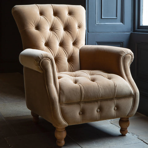 Westminster Armchair in Butterscotch Velvet Grade 1
