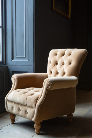 Westminster Armchair in Butterscotch Velvet Grade 1