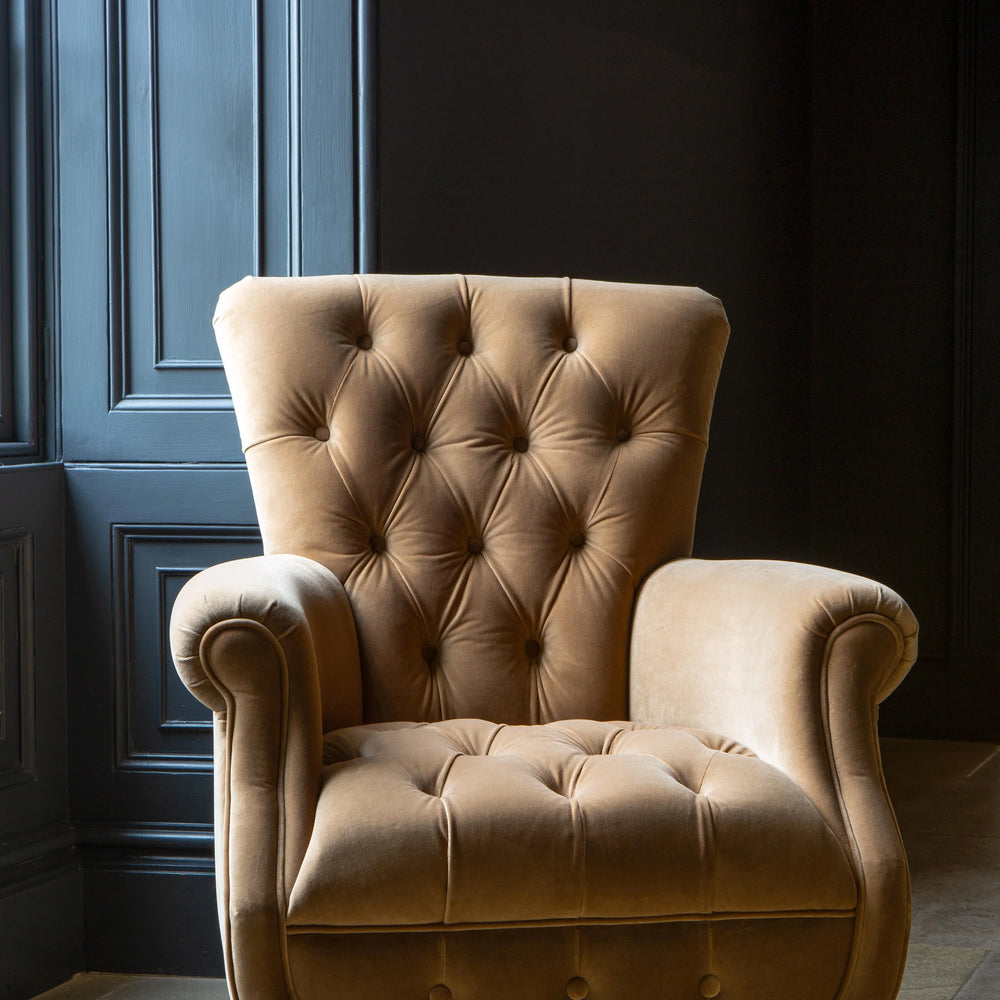 Westminster Armchair in Butterscotch Velvet Grade 1