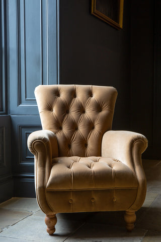 Westminster Armchair in Butterscotch Velvet Grade 1