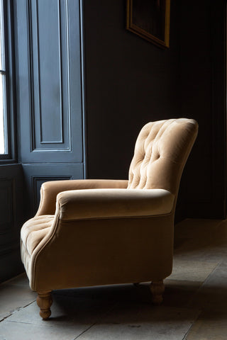 Westminster Armchair in Butterscotch Velvet Grade 1