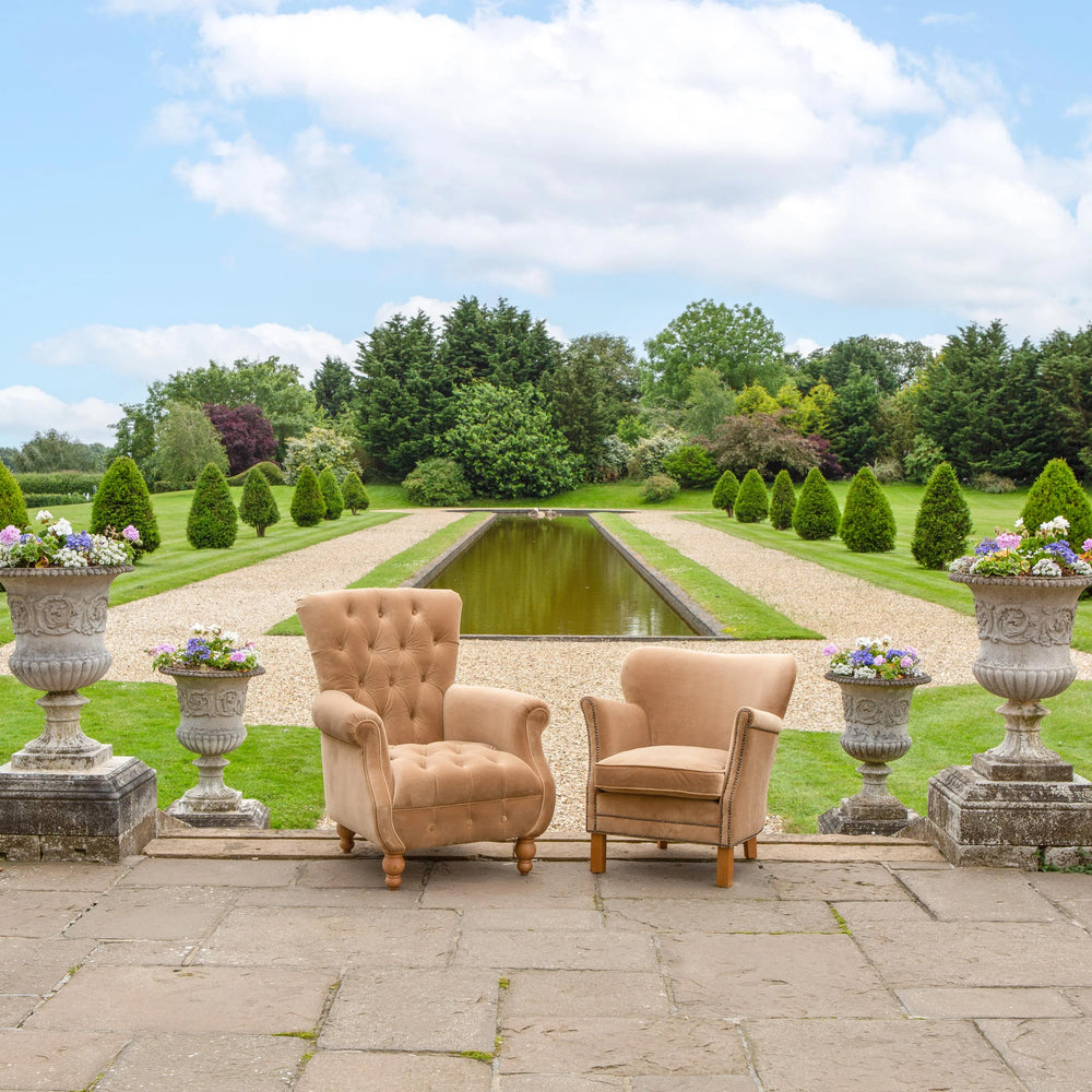 Westminster Armchair in Butterscotch Velvet Grade 1