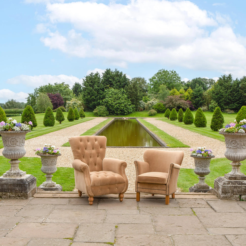 Westminster Armchair in Butterscotch Velvet Grade 1