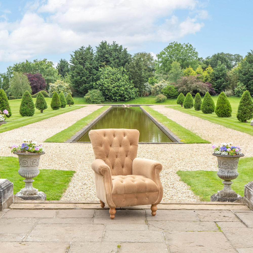 Westminster Armchair in Butterscotch Velvet Grade 1