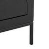 Brixton 2 Door Chest