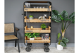 Industrial Shelves - 6819