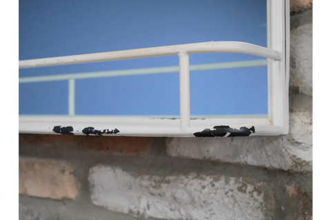 Mirror With Shelf - 7221