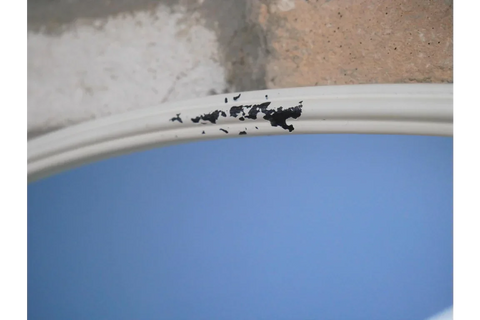 Mirror With Shelf - 7221