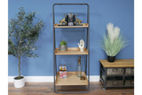 Shelves - 7469