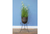 Iron Planter
