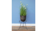 Iron Planter - 7749