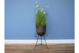 Iron Planter - 7749