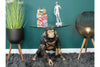Monkey Table