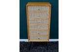Tall Cabinet - 7958