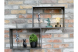 Wall Shelves - 8031