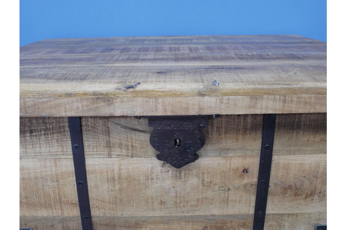 Trunk / Coffee Table