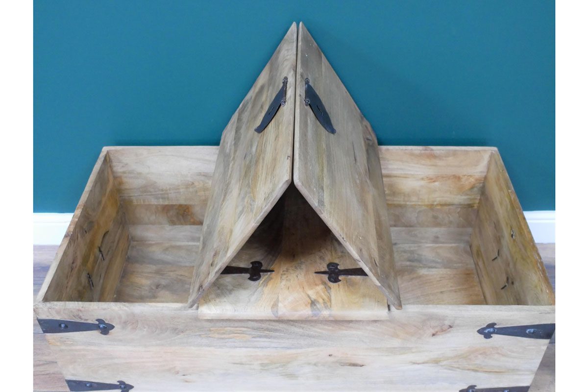 Large Trunk / Coffee Table