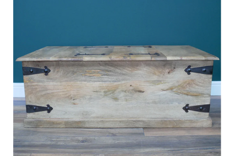 Large Trunk / Coffee Table - 8193