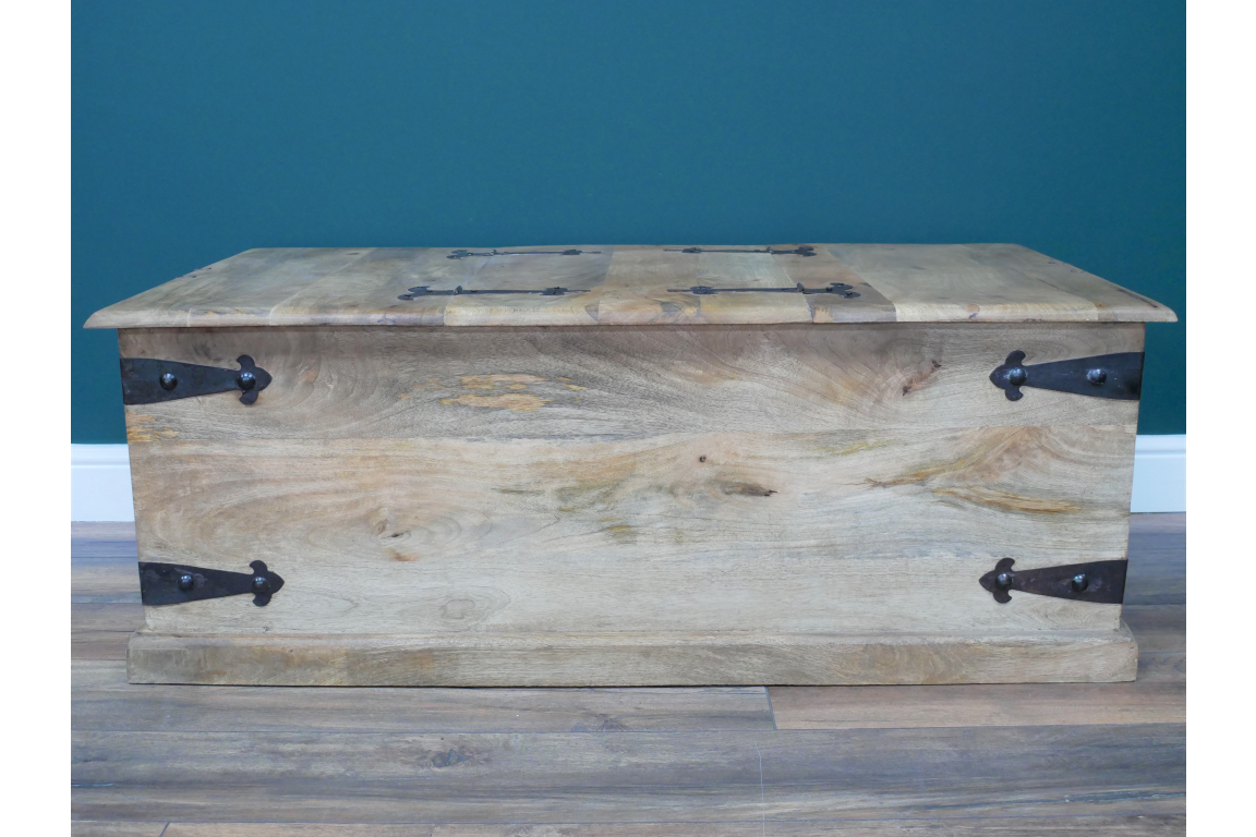 Large Trunk / Coffee Table - 8193