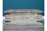 Large Trunk / Coffee Table - 8193