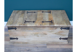 Large Trunk / Coffee Table - 8193