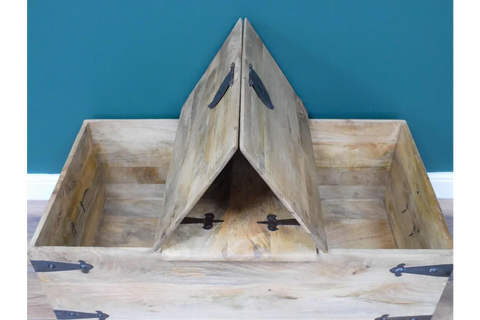 Large Trunk / Coffee Table - 8193